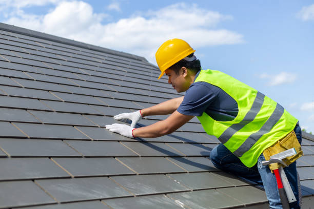 Roof Gutter Cleaning in East Mckeesport, PA